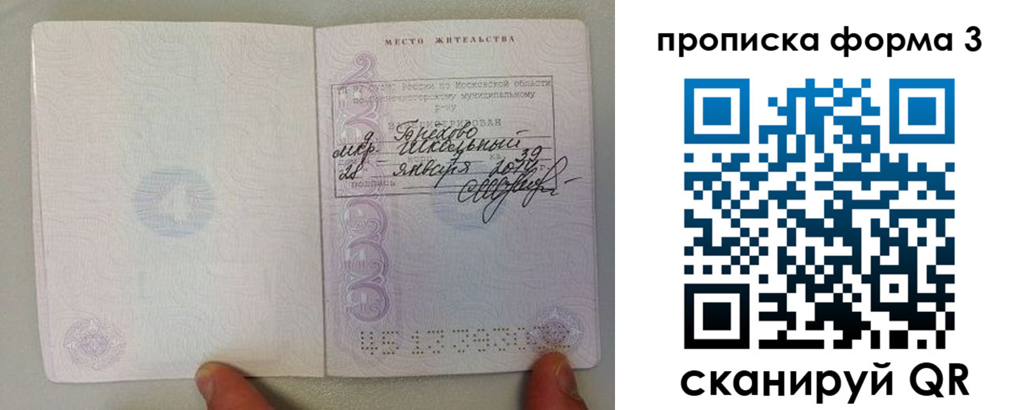 прописка гарантия в Чебоксарах